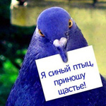 Аватар Я синий птыц, приношу щастье!
