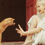 99px.ru аватар Рыжий котенок играет с руками кричащей блондинки