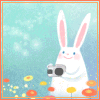 Аватар Кролик с фотоаппаратом в руках
