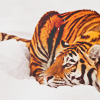 99px.ru аватар Тигр лежит на снегу