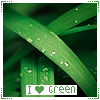 Аватар Росинки на траве (I love green / Я люблю зеленый)