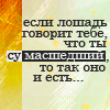 99px.ru аватар Если лошадь говорит тебе, что ты сумасшедший, то так оно и есть