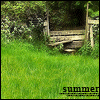 Аватар На поляне вырастают цветы (summer)