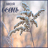 99px.ru аватар Моя осень умерла от мороза