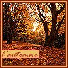 99px.ru аватар Осенний лес (l'automne)