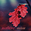 Аватар Осенние листья (nature color / цвет природы)
