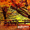 Аватар Осенний парк (autumn / осень)