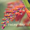 Аватар С осеннего листа капает вода (Rainy day / Дождливый день)