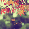Аватар Осенние листья (Fall Again / Снова осень)