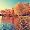 99px.ru аватар Осенние деревья отражаются в реке