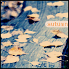 Аватар Листья на скамейке (Autumn / Осень )