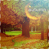 Аватар Осенний парк (autumn / осень)