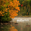99px.ru аватар Осенняя природа (Autumn / Осень)