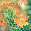 Аватар Осенний листок на ели (autumn fall / листопад)