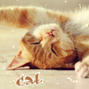 99px.ru аватар Спящий котик (Cat / Кошка)