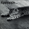 99px.ru аватар Кошка отдыхает (Хррррь...)