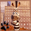 Аватар Зебра Марти из мультфильма Мадагаскар/Madagascar