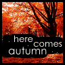 Аватар Осенний лес (here comes autumn)