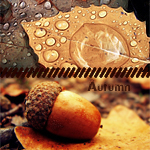 Аватар На листе какпля воды и желудь (Autumn)