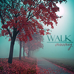 99px.ru аватар Туман окутал осенний парк (Walk away)