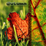 99px.ru аватар Желтый кленовый лист лежит в траве (Autumn)