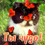 Аватар черный котенок с бабочками (ты чудо)