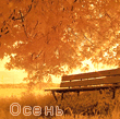 99px.ru аватар Скамейка под желтым осенним деревом (Осень)