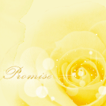 99px.ru аватар Роза (Promise)