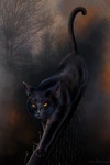 99px.ru аватар Черная грациозная кошка идет по забору