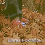 Аватар Кеды на осенней листве (Шагая в октябрь)