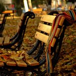 Аватар Шарф забытый на лавочке в осеннем парке