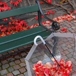 Аватар Красные осенние листья вокруг зеленой скамейки, и в зонте