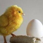 99px.ru аватар Маленький желтый цыпленок стоит околого белого яйца