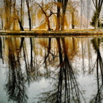 99px.ru аватар Осенние деревья отраженные в воде