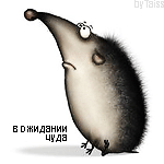 Аватар Ежик В ожидании чуда
