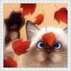 99px.ru аватар Милый котенок ловит лапкой падающие желтые листья