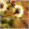 Аватар Одуванчики  (moments in pease)