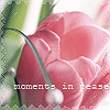 99px.ru аватар Розовый тюльпан  (moments in pease)