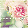 Аватар Розовая роза  (moments in pease)