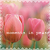 99px.ru аватар Розовые тюльпаны  (moments in pease)