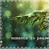 Аватар Ветка ели под снегом  (moments in pease)