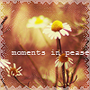 Аватар Ромашки  (moments in pease)