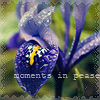 Аватар Ирис  (moments in pease)
