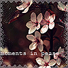 Аватар Ветка цветущей вишни  (moments in pease)