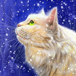 99px.ru аватар Кошка смотрит в верх, идет снег 