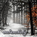 99px.ru аватар Лес поздней осенью (melancholy)