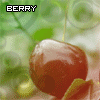 Аватар Ягода / Berry