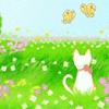 99px.ru аватар Белый кот сидит в траве и смотрит на порхающих бабочек