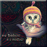 Аватар Совёнок на ладони (не бойся! я с тобой!)