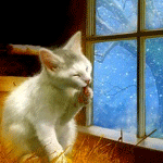 Аватар Котенок на сеновале умывается перед окном за которым идет снег